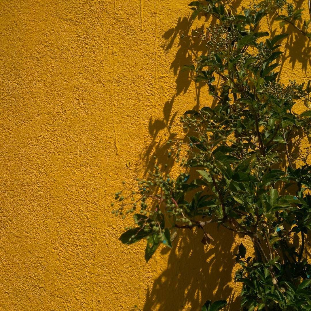 Mural Pagliacci 6